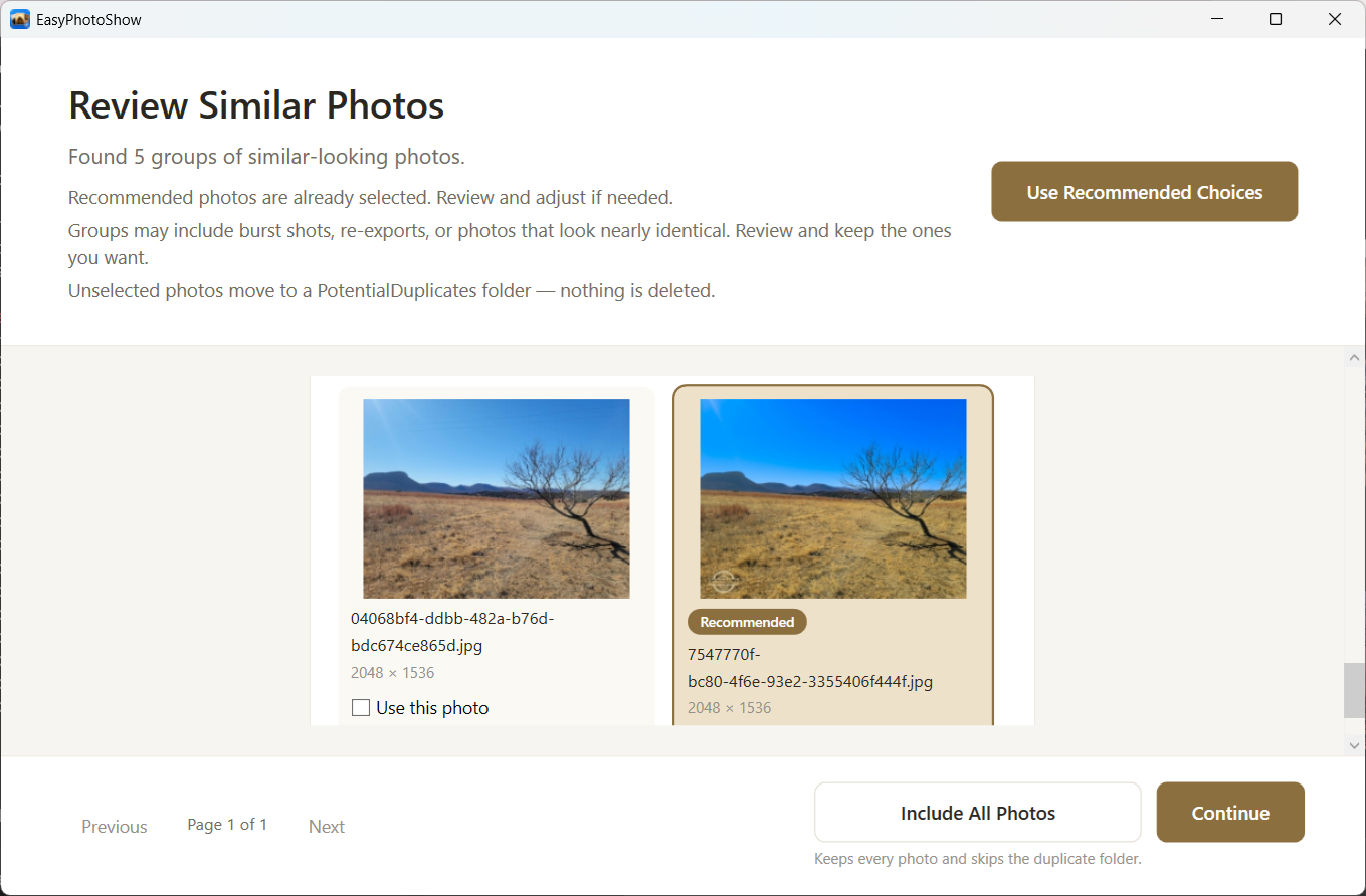 The duplicate review screen showing pairs of similar photos
